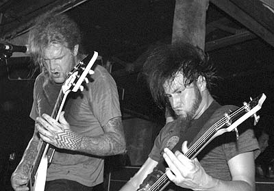 mastodon