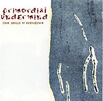 Primordial Undermind Thin Shells of Revolution