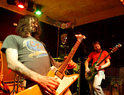 sniffy photo by larry stern